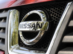 湛江大昌行骏浩逍客 中网浩宇设计解析与图解